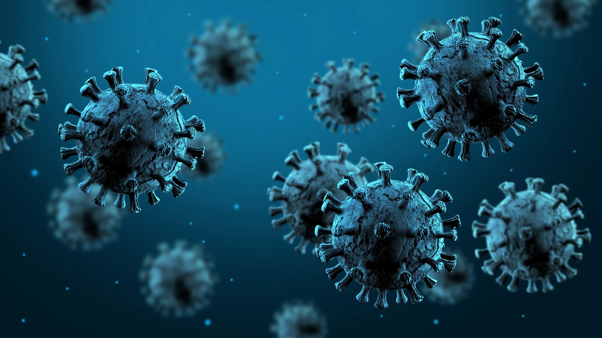 Neue Welle: Hanta-Virus-Infektionszahlen in Baden-Württemberg steigen rasant